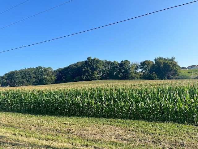 X Country Club Rd W, Rochester Twp, MN 55902 - photo 7