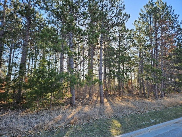 Listing photo 2 for TBD Lomond Dr NW, Bagley MN 56621