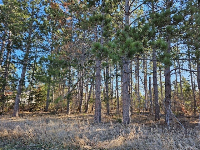 Listing photo 3 for TBD Lomond Dr NW, Bagley MN 56621