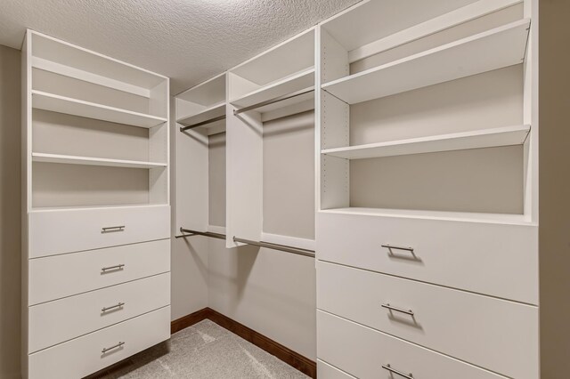 walk in closet with carpet flooring