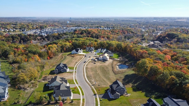 bird's eye view