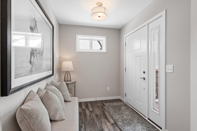 foyer entrance featuring dark wood-type flooring