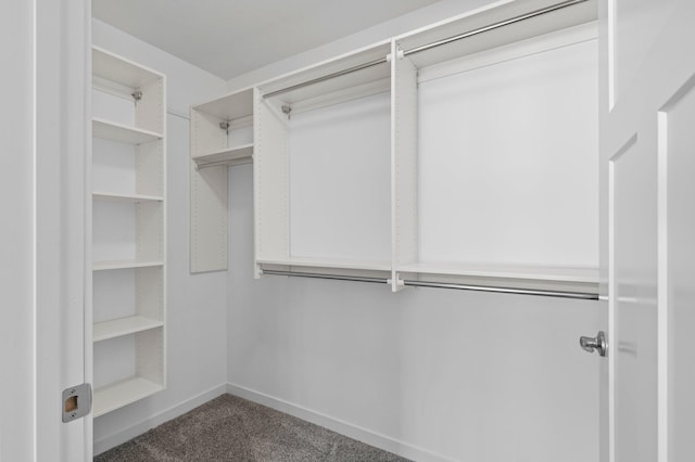 walk in closet featuring carpet