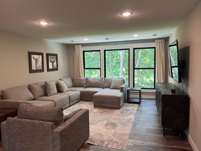 living room featuring dark wood-type flooring