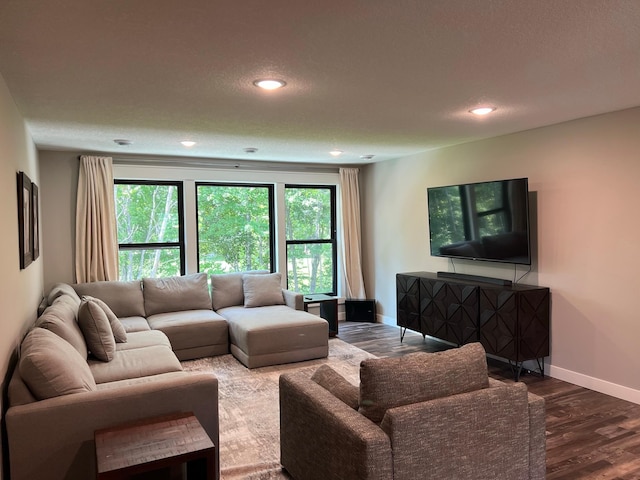 living room with dark hardwood / wood-style flooring