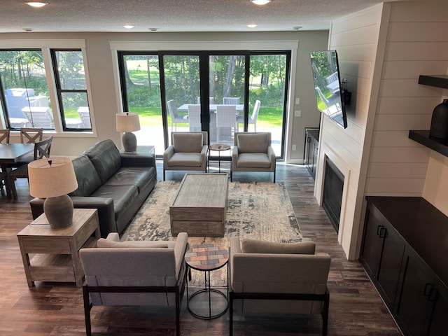 living room featuring a textured ceiling and dark hardwood / wood-style floors