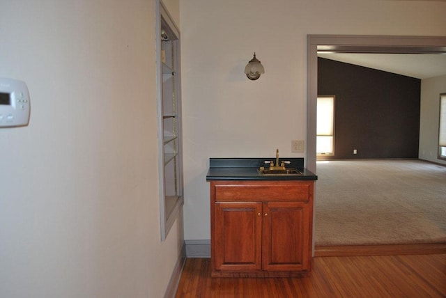 bathroom featuring wood-type flooring and sink