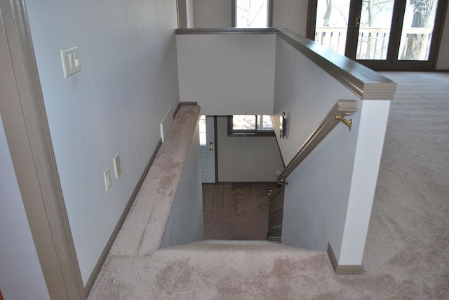 staircase featuring light carpet and a healthy amount of sunlight