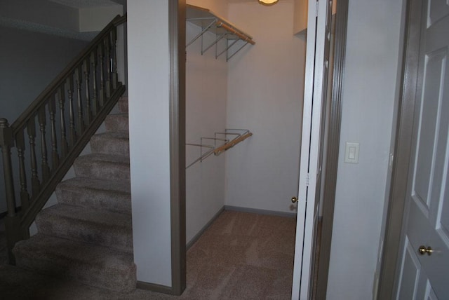 walk in closet with dark colored carpet