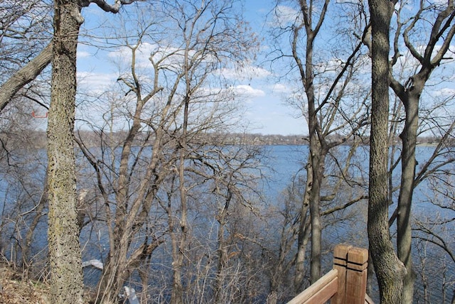 view of water feature