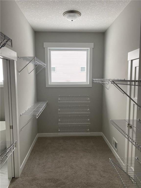 walk in closet with visible vents and carpet flooring