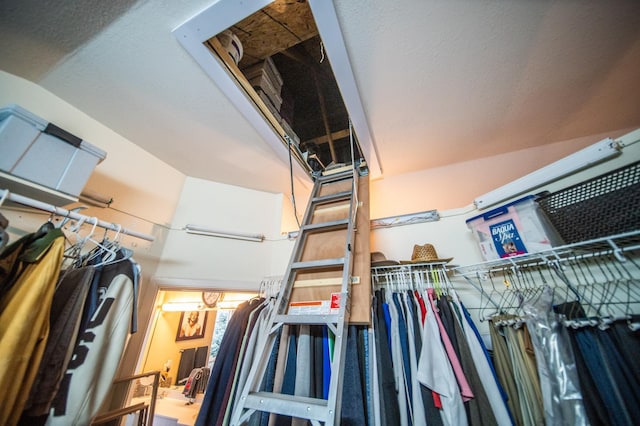 view of walk in closet