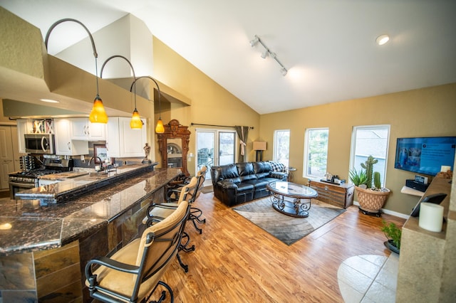 living room with sink, light hardwood / wood-style flooring, rail lighting, and high vaulted ceiling