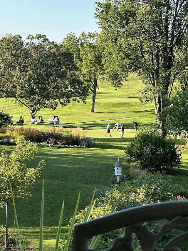 view of property's community featuring a lawn