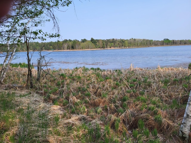 XXX Crow Point Trail, Nevis MN, 56467 land for sale