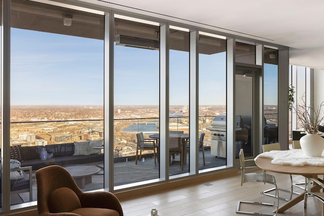 entryway with expansive windows, wood-type flooring, and a wealth of natural light