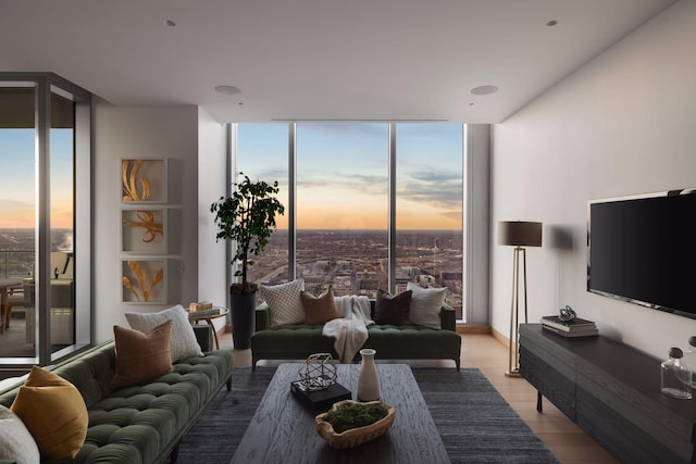 living room featuring a wall of windows and light wood-type flooring