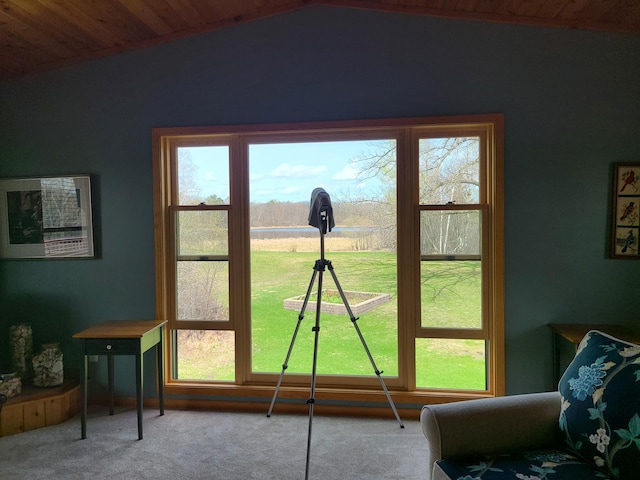 38257 Dove St, Spencer Twp, MN 56431 - entryway with carpet flooring, plenty of natural light, wood ceiling, and vaulted ceiling
