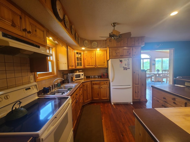 kitchen featuring dark wood-type flooring, sink, tasteful backsplash, white appliances, and ceiling fan