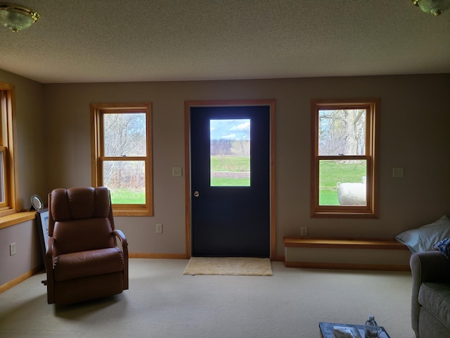 interior space featuring a textured ceiling and light colored carpet