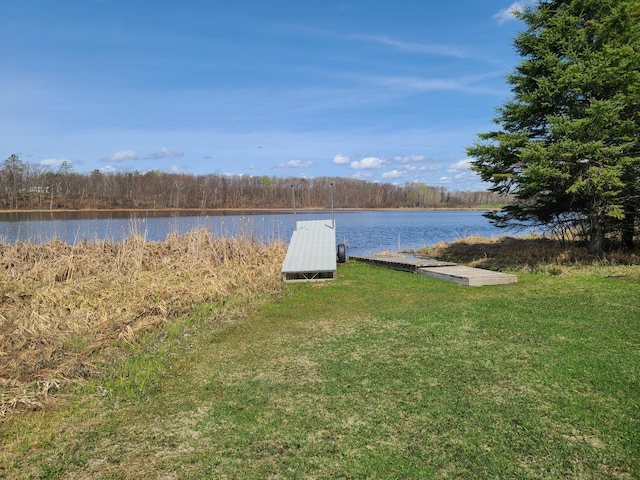 property view of water with a boat dock