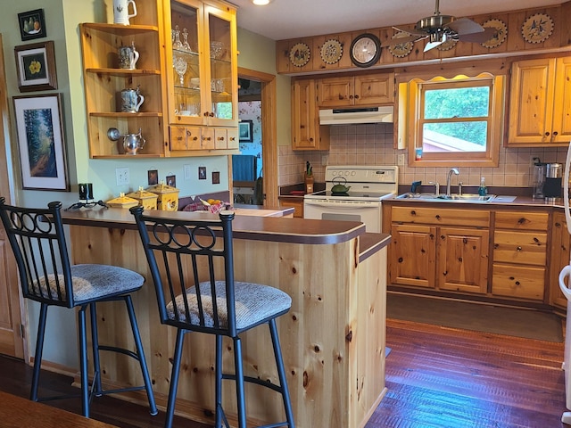 kitchen featuring dark hardwood / wood-style floors, sink, a breakfast bar area, electric stove, and ceiling fan