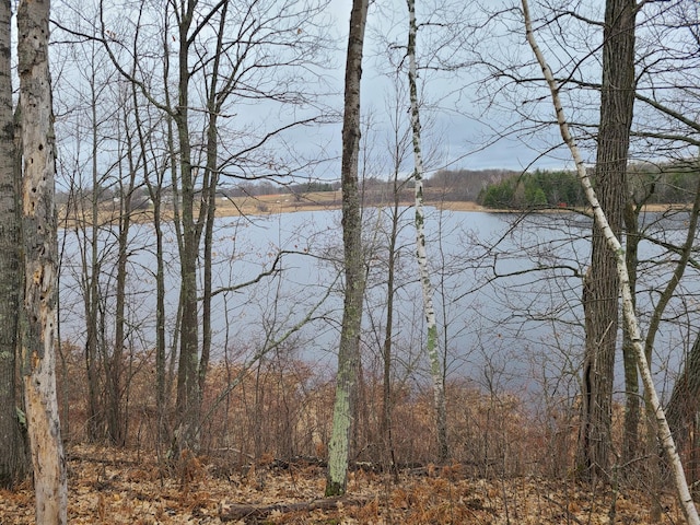 view of water feature