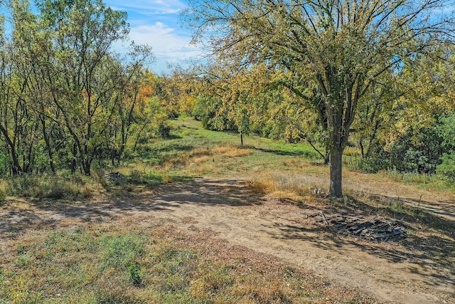 view of local wilderness