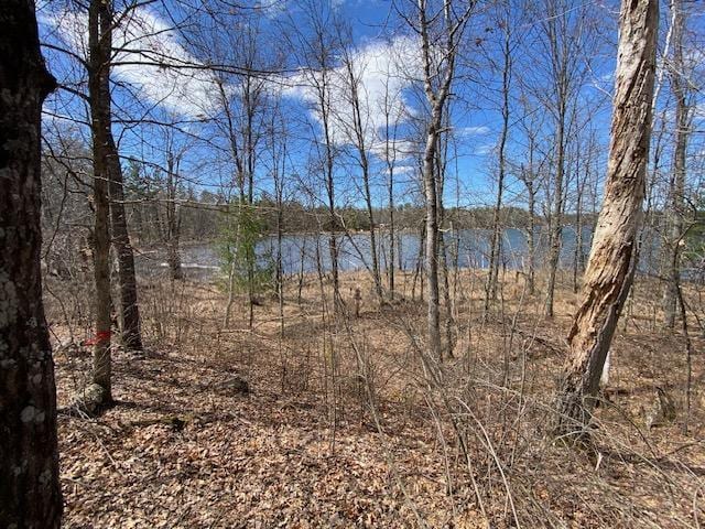 Listing photo 2 for LOT2 Pash Dr, Chicog Twp WI 54888