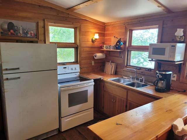 kitchen featuring wooden walls, white appliances, plenty of natural light, and sink