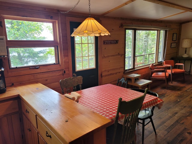 dining area featuring wooden walls and dark hardwood / wood-style flooring