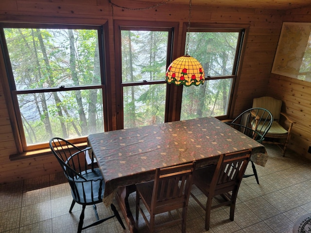 tiled dining space with wood walls and a wealth of natural light