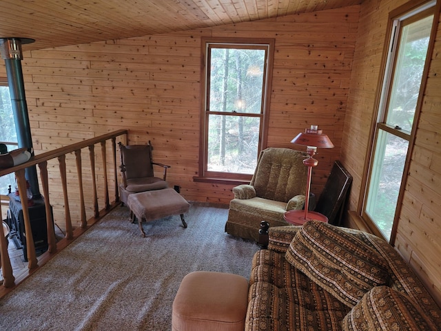 sitting room with wooden walls and a healthy amount of sunlight