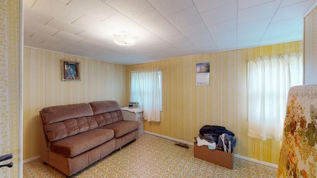 1003 Grand St SE, Chatfield, MN 55923 - living area featuring plenty of natural light