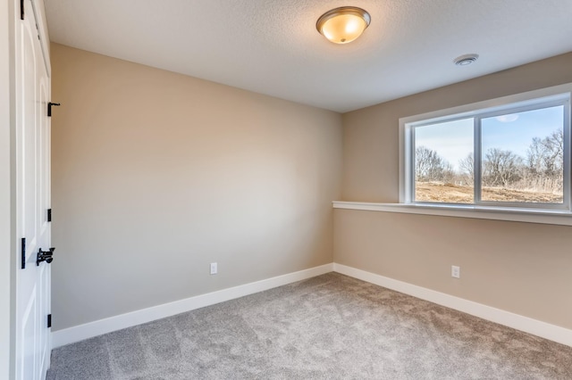 unfurnished room featuring carpet floors