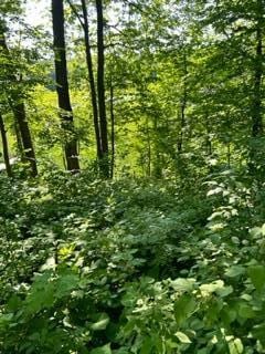 Listing photo 3 for XXX Pinewood Ct, Browerville MN 56438