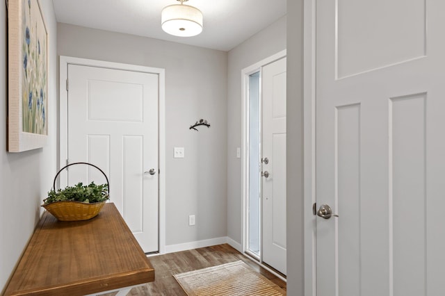 entryway with hardwood / wood-style flooring