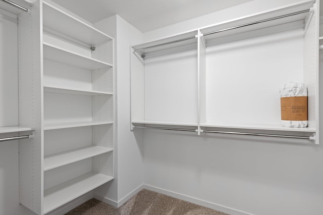 spacious closet with carpet floors