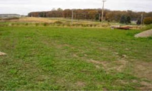 LOT1 Gunnar Ln, Ellendale MN, 56026 land for sale