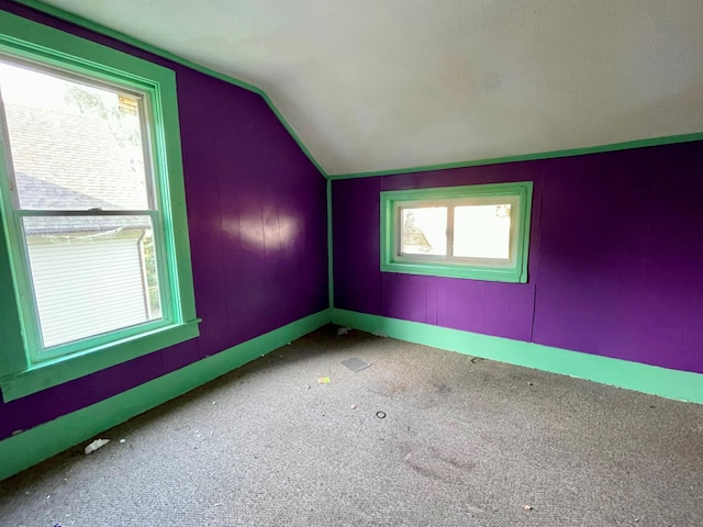 additional living space with carpet and vaulted ceiling