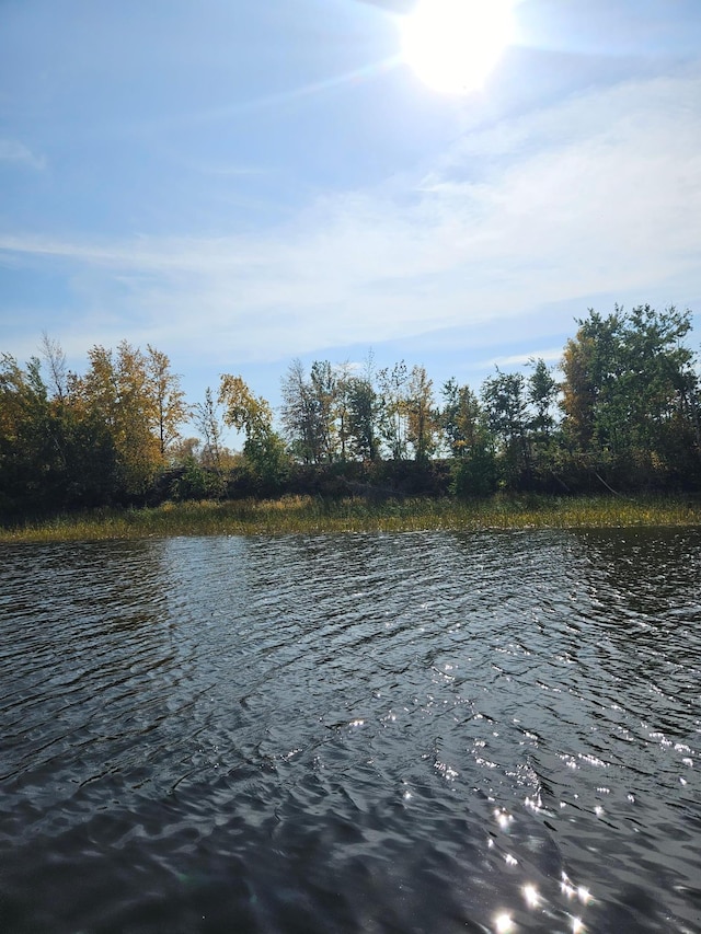 Listing photo 2 for LOT6 Hooper Creek Loop, Baudette MN 56623