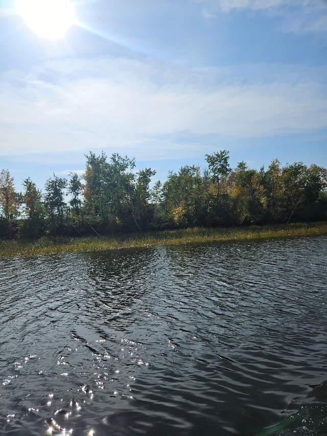 Listing photo 2 for LOT15 Hooper Creek Loop, Baudette MN 56623