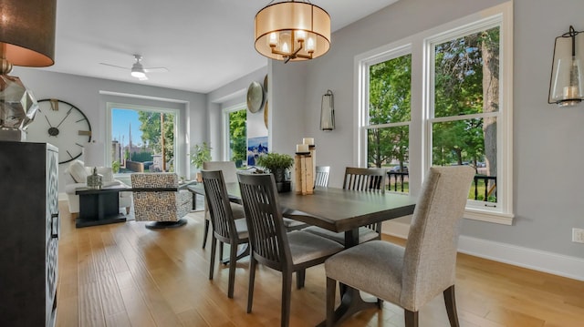 dining area with ceiling fan with notable chandelier and light wood-type flooring