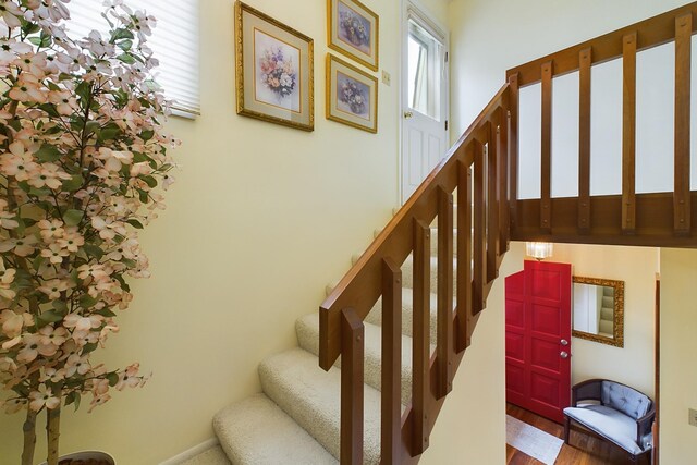 stairway featuring hardwood / wood-style floors