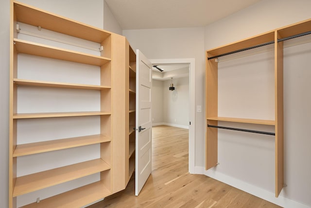 spacious closet featuring light wood-style floors