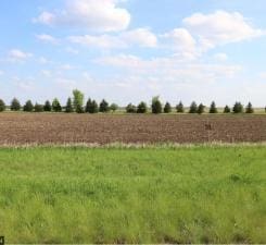 35768 Sharon Prairie Dr, Le Sueur MN, 56058 land for sale