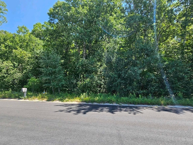 LOT72 Roosevelt Ave, Dresser, WI 54009
