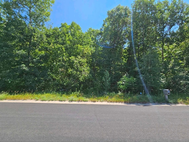 LOT73 Roosevelt Ave, Dresser WI, 54009 land for sale