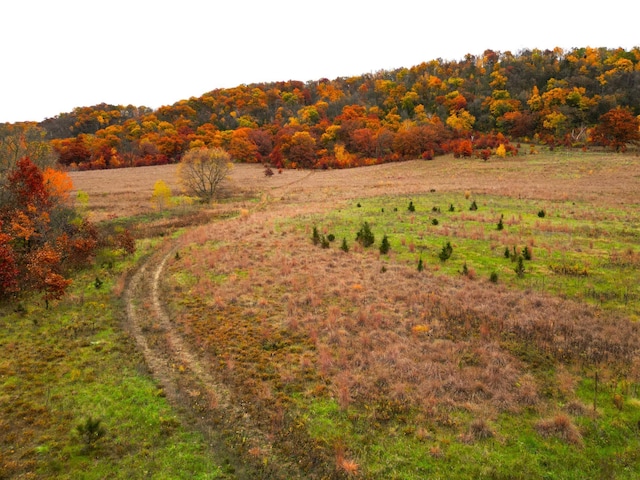 XXXX River Drive, Money Creek Twp MN, 55943 land for sale