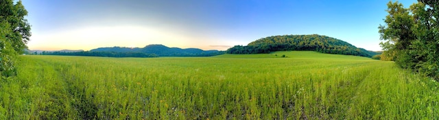 Listing photo - caption unavailable